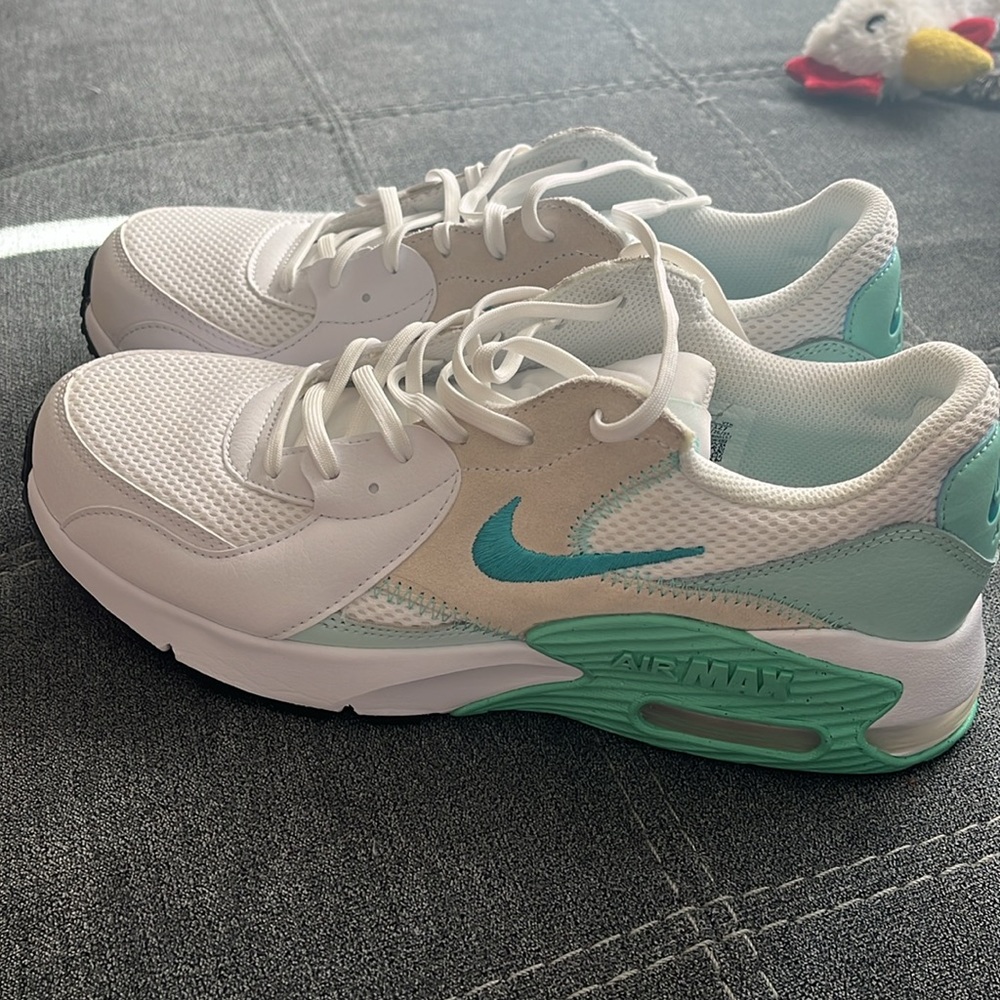 Women’s Nike Air Max size 10